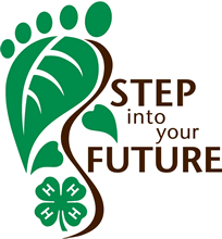 StepIntoFuture